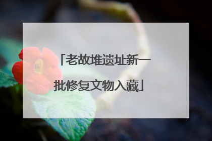 老故堆遗址新一批修复文物入藏