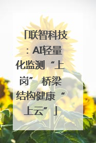 联智科技：AI轻量化监测“上岗” 桥梁结构健康“上云”