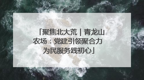 聚焦北大荒｜青龙山农场：党建引领聚合力 为民服务践初心