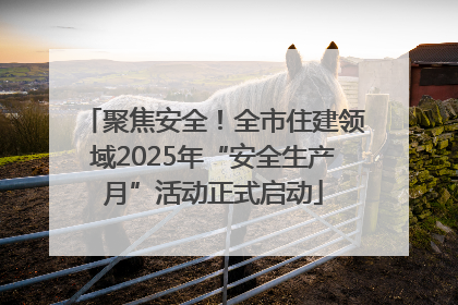 聚焦安全！全市住建领域2025年“安全生产月”活动正式启动