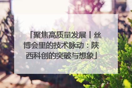 聚焦高质量发展丨丝博会里的技术脉动：陕西科创的突破与想象