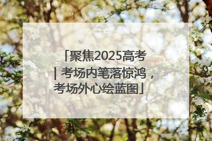 聚焦2025高考｜考场内笔落惊鸿，考场外心绘蓝图