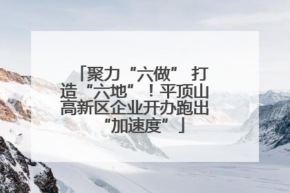 聚力“六做” 打造“六地”！平顶山高新区企业开办跑出“加速度”