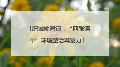 肥城桃园镇：“四张清单”环境整治再发力