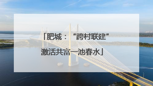 肥城：“跨村联建”激活共富一池春水