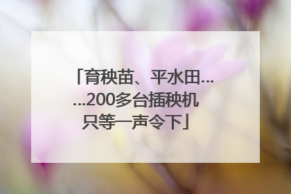 育秧苗、平水田……200多台插秧机只等一声令下