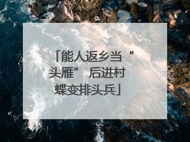 能人返乡当“头雁” 后进村蝶变排头兵