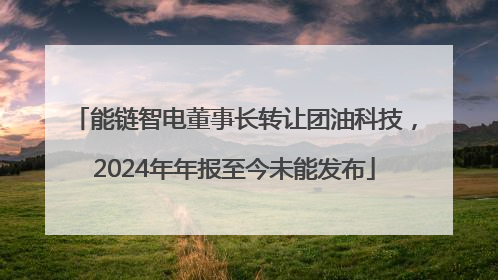能链智电董事长转让团油科技，2024年年报至今未能发布
