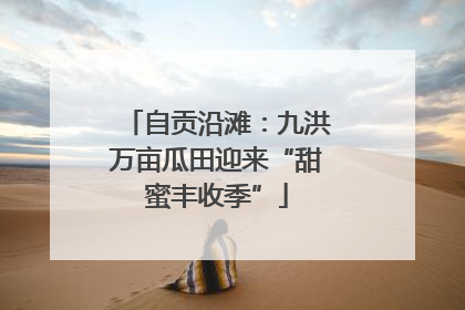 自贡沿滩：九洪万亩瓜田迎来“甜蜜丰收季”