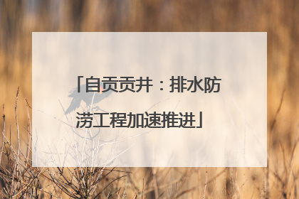 自贡贡井：排水防涝工程加速推进