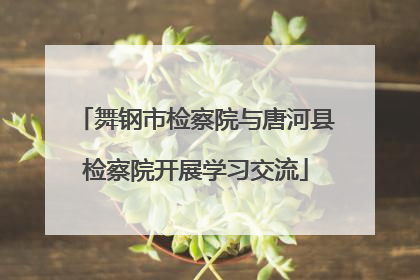 舞钢市检察院与唐河县检察院开展学习交流