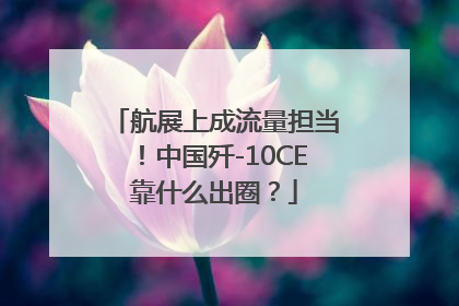 航展上成流量担当！中国歼-10CE靠什么出圈？