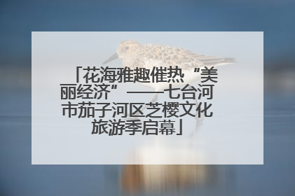 花海雅趣催热“美丽经济”——七台河市茄子河区芝樱文化旅游季启幕