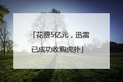花费5亿元，迅雷已成功收购虎扑