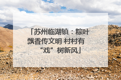 苏州临湖镇：粽叶飘香传文明 村村有“戏”树新风
