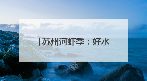 苏州河虾季：好水育好虾，文旅融合绘就“舌尖江南”