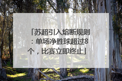 苏超引入熔断规则：单场净胜球超过8个，比赛立即终止
