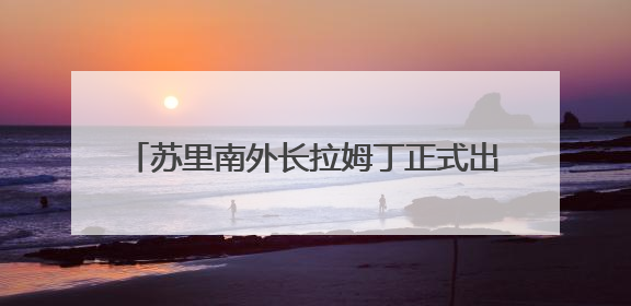 苏里南外长拉姆丁正式出任美洲国家组织秘书长