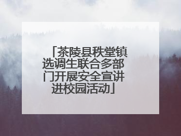 茶陵县秩堂镇选调生联合多部门开展安全宣讲进校园活动