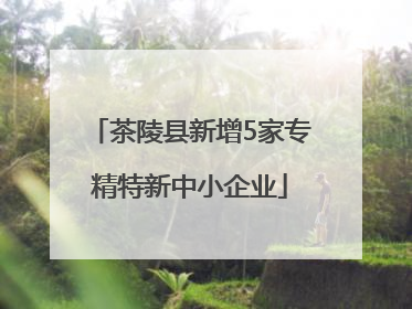 茶陵县新增5家专精特新中小企业