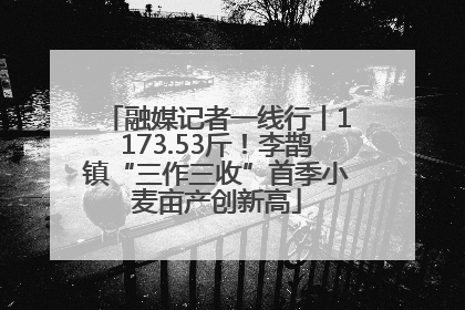 融媒记者一线行丨1173.53斤！李鹊镇“三作三收”首季小麦亩产创新高