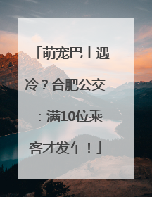 萌宠巴士遇冷？合肥公交：满10位乘客才发车！