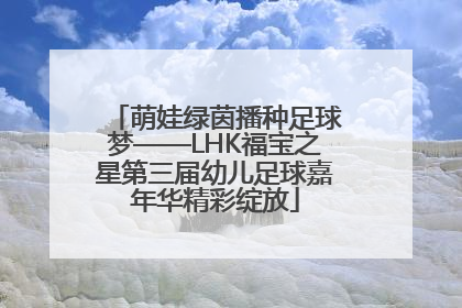 萌娃绿茵播种足球梦——LHK福宝之星第三届幼儿足球嘉年华精彩绽放