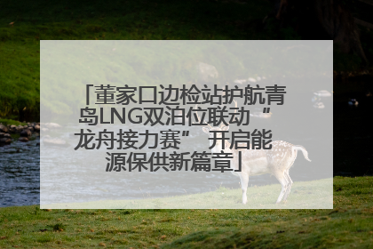 董家口边检站护航青岛LNG双泊位联动“龙舟接力赛” 开启能源保供新篇章