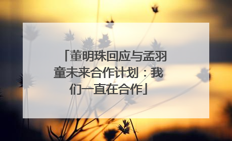董明珠回应与孟羽童未来合作计划：我们一直在合作