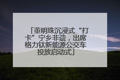 董明珠沉浸式“打卡”宁乡非遗，出席格力钛新能源公交车投放启动式