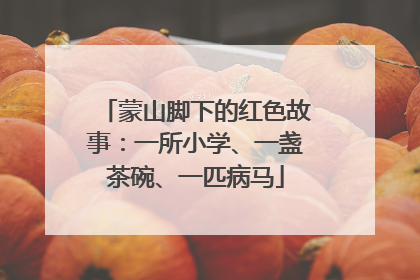 蒙山脚下的红色故事：一所小学、一盏茶碗、一匹病马