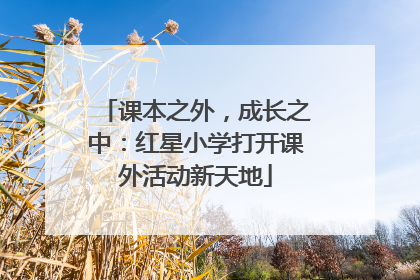 课本之外，成长之中：红星小学打开课外活动新天地