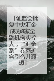 证监会批复中央汇金成为8家金融机构实控人，“汇金系”券商扩容引合并遐想