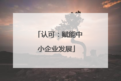 认可：赋能中小企业发展