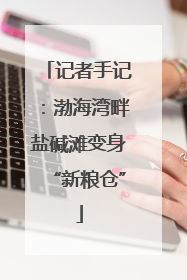 记者手记：渤海湾畔盐碱滩变身“新粮仓”