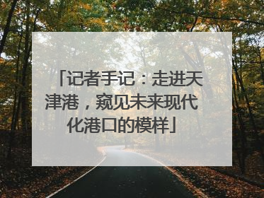 记者手记：走进天津港，窥见未来现代化港口的模样