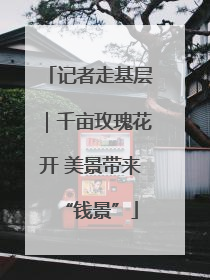 记者走基层｜千亩玫瑰花开 美景带来“钱景”