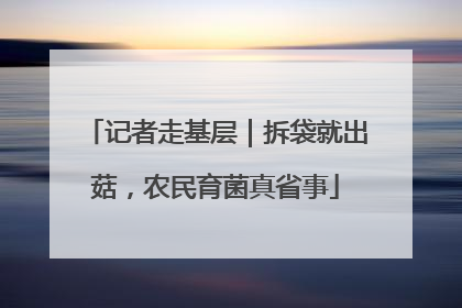 记者走基层｜拆袋就出菇，农民育菌真省事