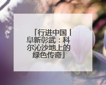 行进中国丨阜新彰武：科尔沁沙地上的绿色传奇