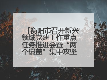 衡阳市召开新兴领域党建工作重点任务推进会暨“两个覆盖”集中攻坚工作专班 第一次会议