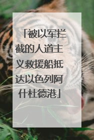 被以军拦截的人道主义救援船抵达以色列阿什杜德港