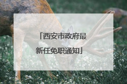 西安市政府最新任免职通知