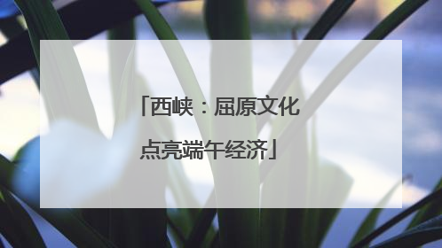西峡：屈原文化点亮端午经济