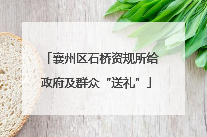 襄州区石桥资规所给政府及群众“送礼”