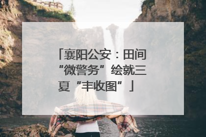 襄阳公安：田间“微警务”绘就三夏“丰收图”