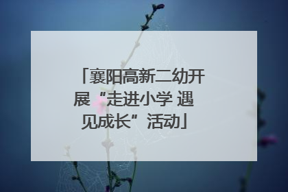 襄阳高新二幼开展“走进小学 遇见成长”活动