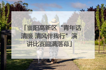 襄阳高新区“青年话清廉 清风伴我行”演讲比赛圆满落幕