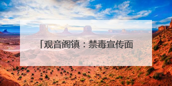 观音阁镇：禁毒宣传面对面 安全防范驻心间