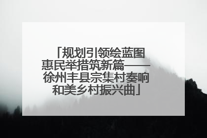 规划引领绘蓝图 惠民举措筑新篇——徐州丰县宗集村奏响和美乡村振兴曲