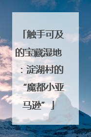 触手可及的宝藏湿地：淀湖村的“魔都小亚马逊”
